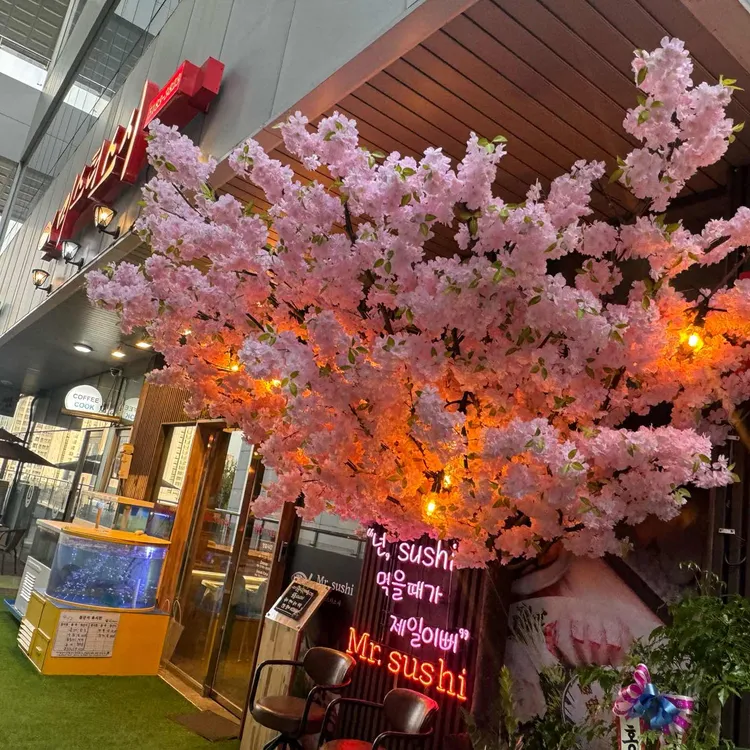 미스터스시 대표 사진