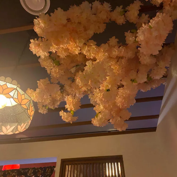 하키-하키 대표 사진