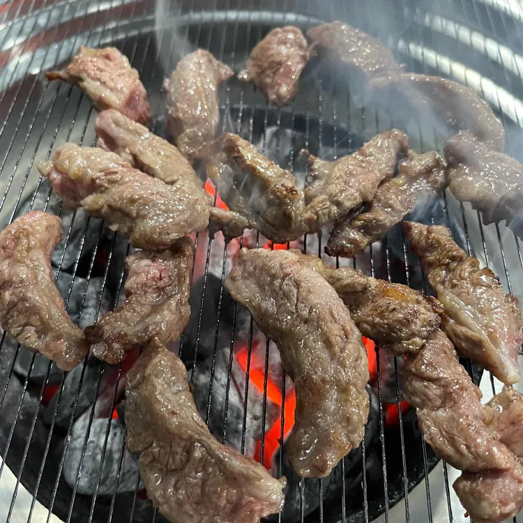 은행나무갈매기 대표 사진