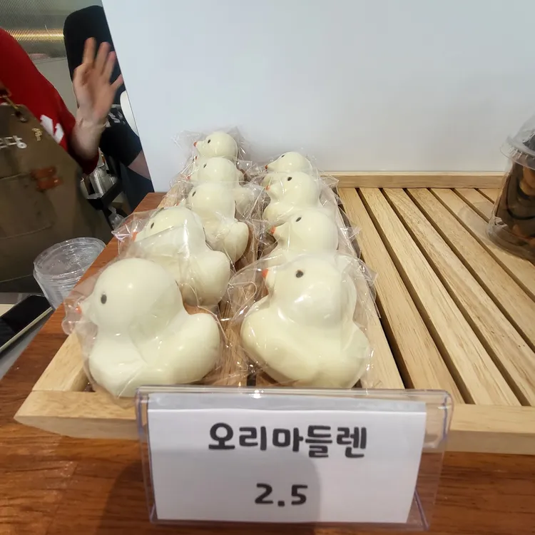 오리당 대표 사진