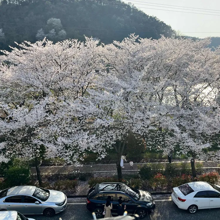 카페파밀리에 대표 사진