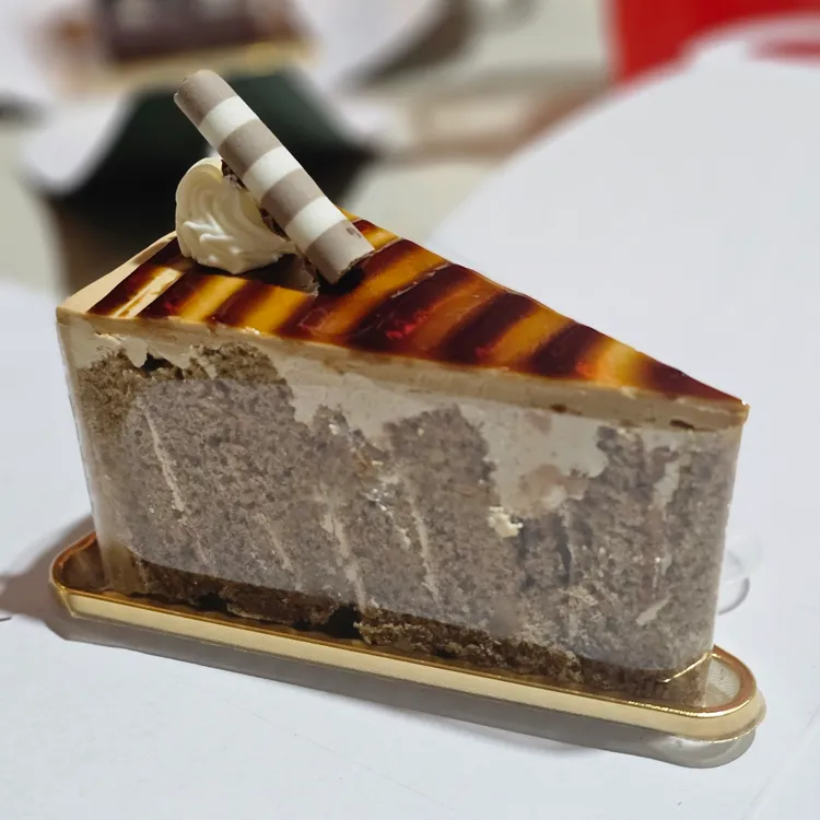 꼼빠도르 대표 사진