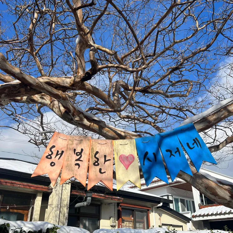 행복한 시저네 대표 사진