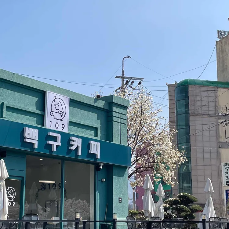 백구커피 대표 사진