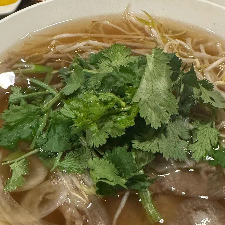 포메인 대표 사진