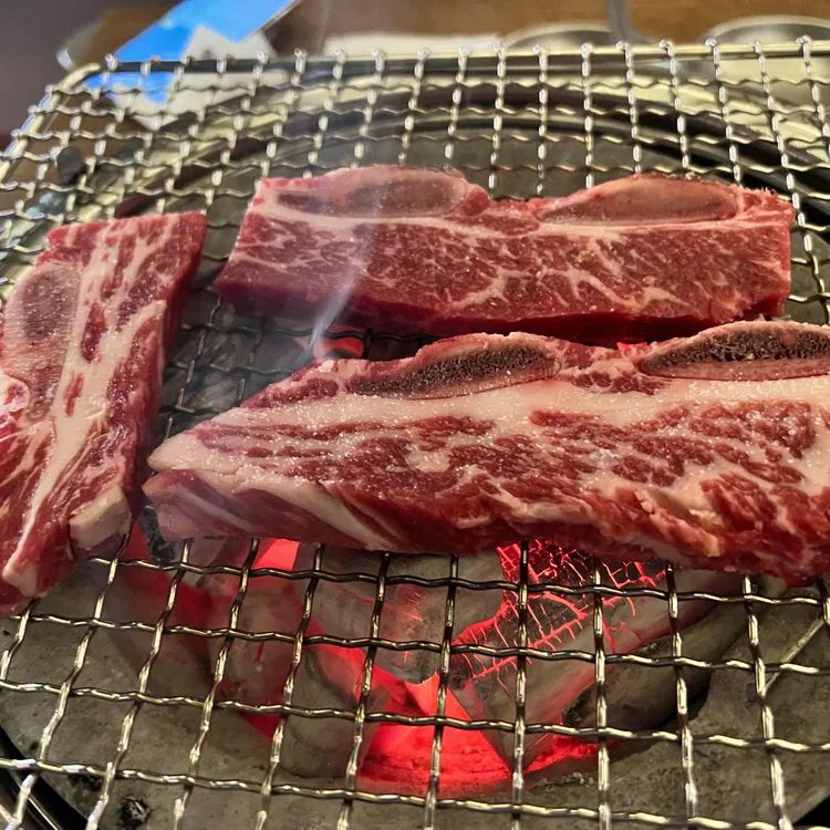 횃불 대표 사진
