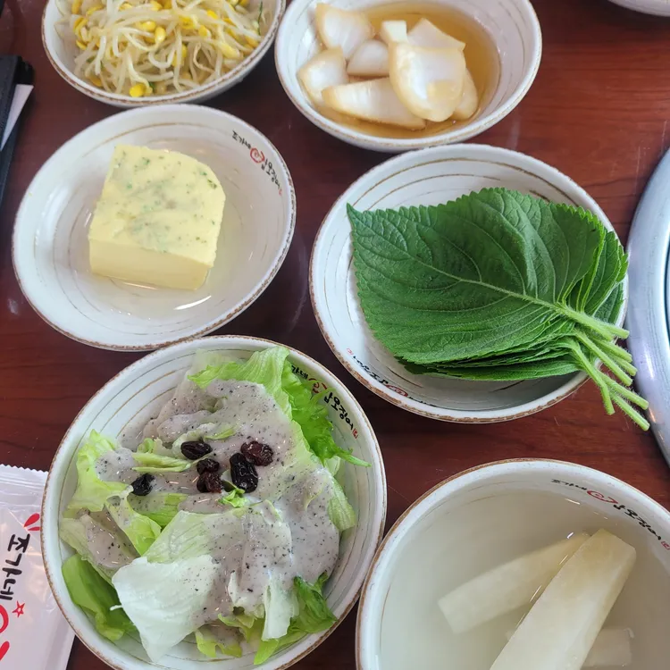 조가네갑오징어 대표 사진