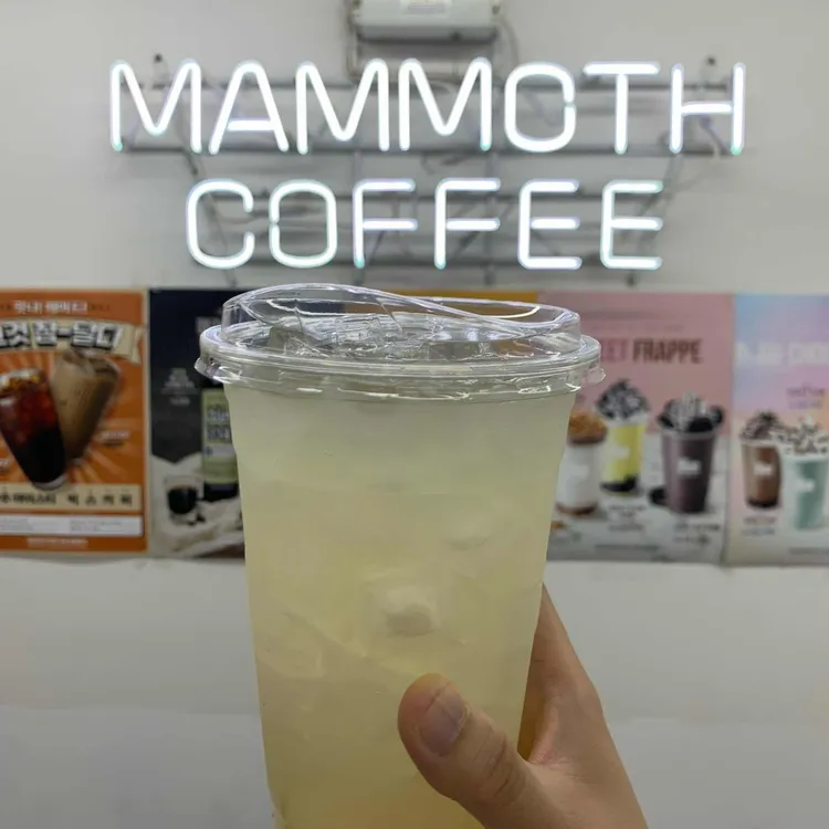 매머드익스프레스 대표 사진