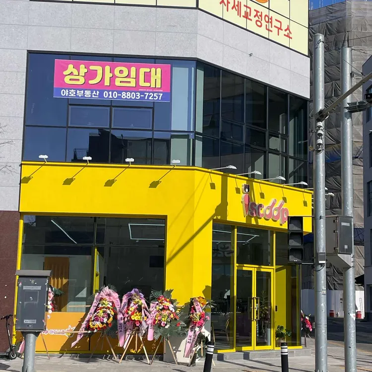 아이스쿱 대표 사진
