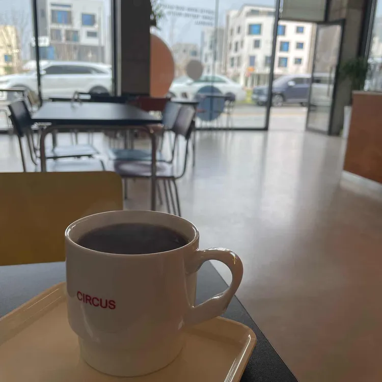 서커스 대표 사진