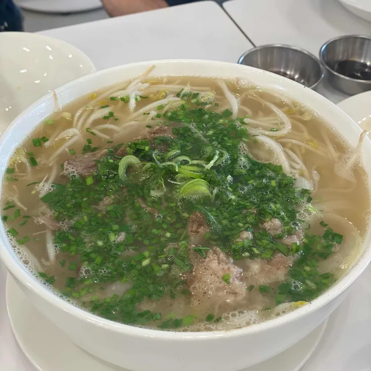 포레스트 오늘 숲 대표 사진