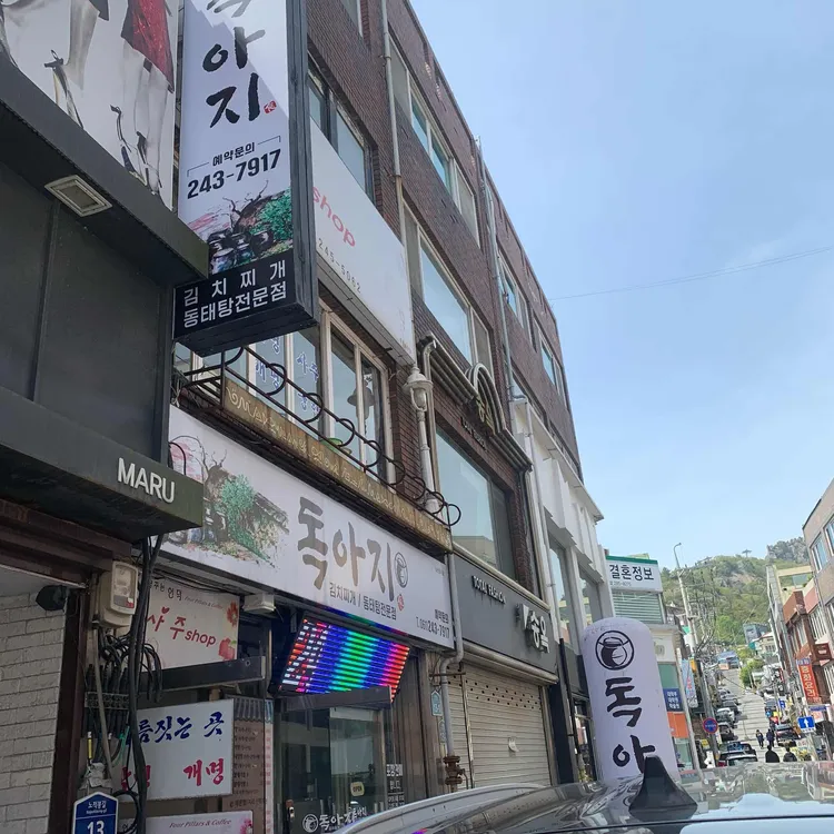 독아지 대표 사진