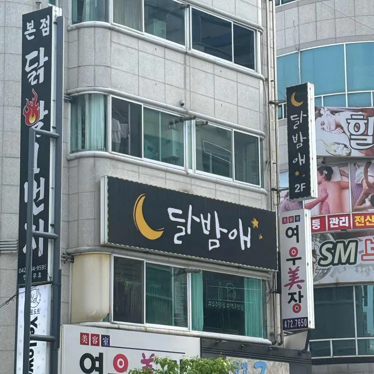 달밤애 대표 사진
