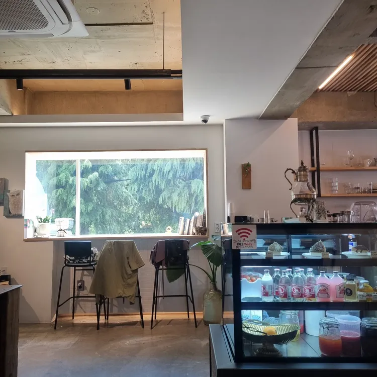 배꼽 대표 사진