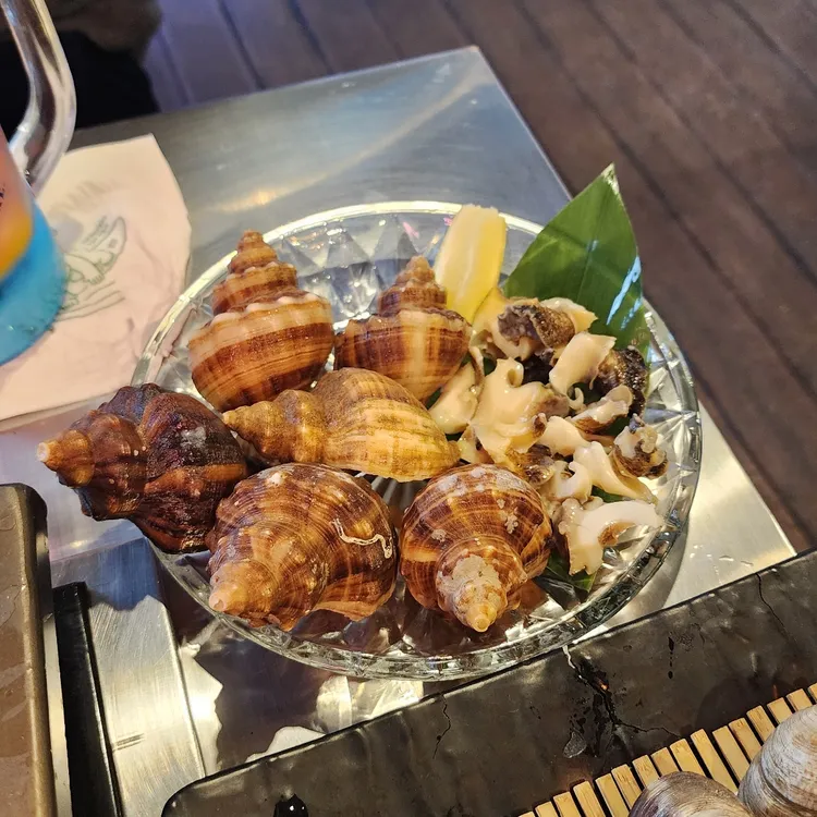 하와이조개 대표 사진