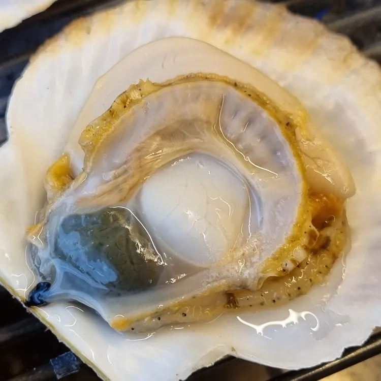무한조개 대표 사진