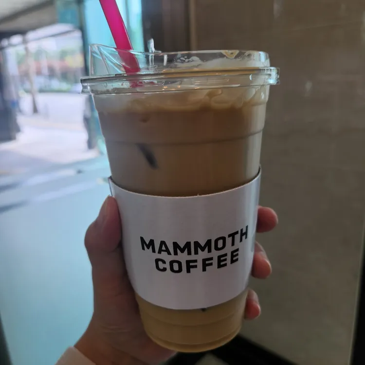매머드커피 사진 2