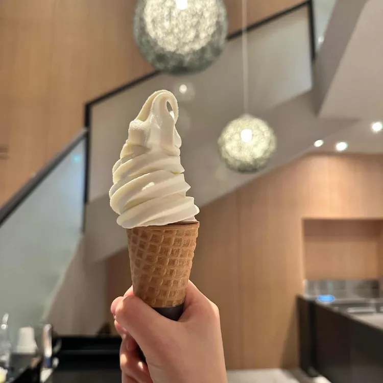 폴 바셋 대표 사진