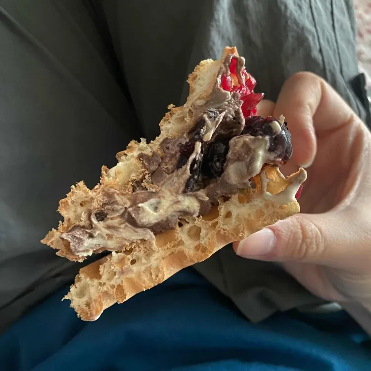 와플대학 대표 사진
