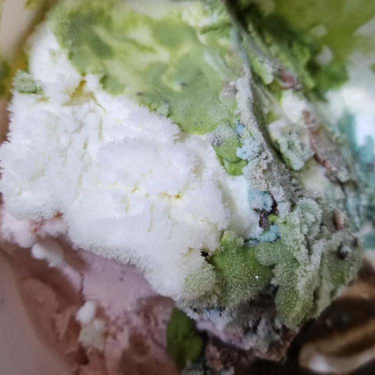 배스킨라빈스  대표 사진