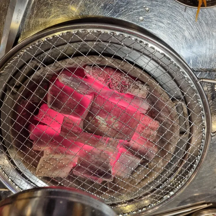 우화 대표 사진