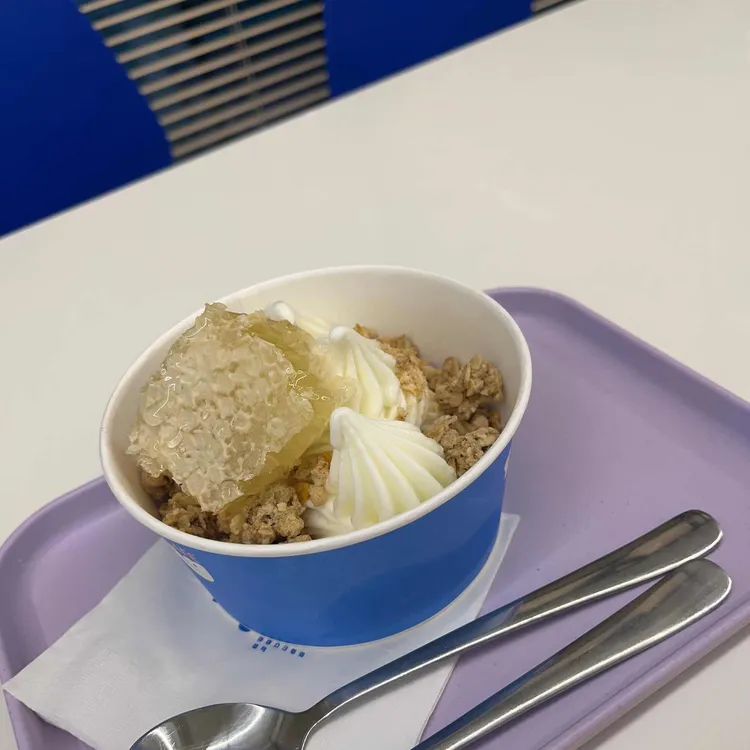 요거트아이스크림의정석 대표 사진