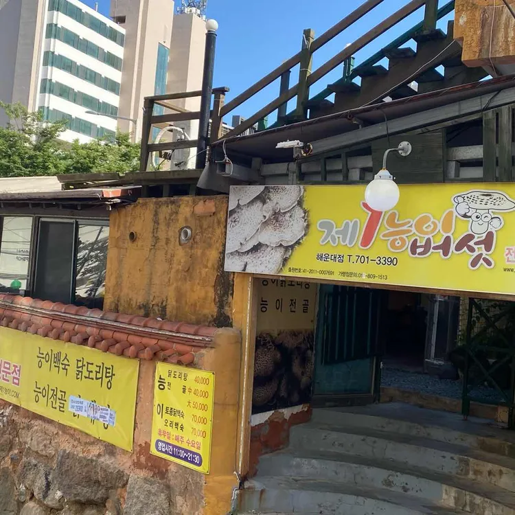 제1능이버섯 대표 사진