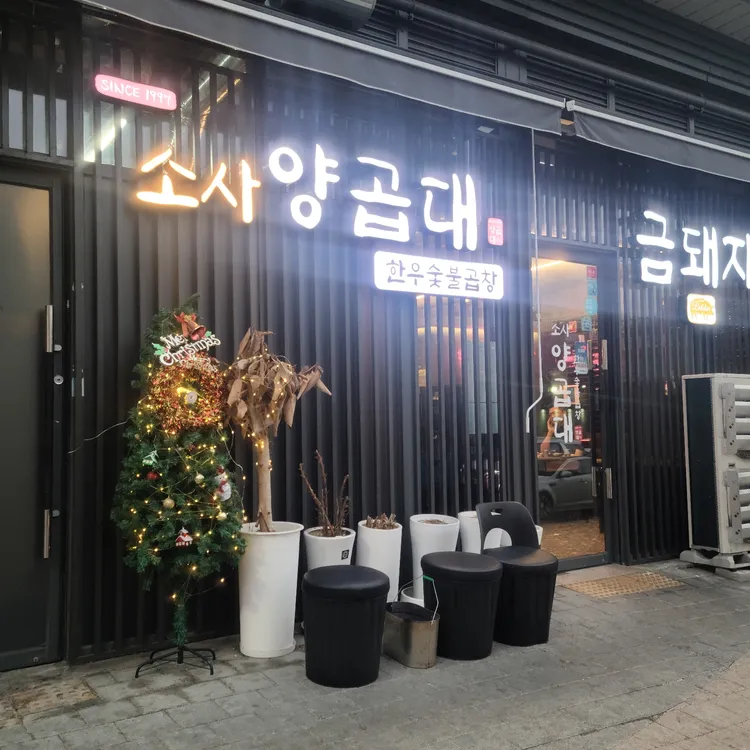 소사양곱대 이미지