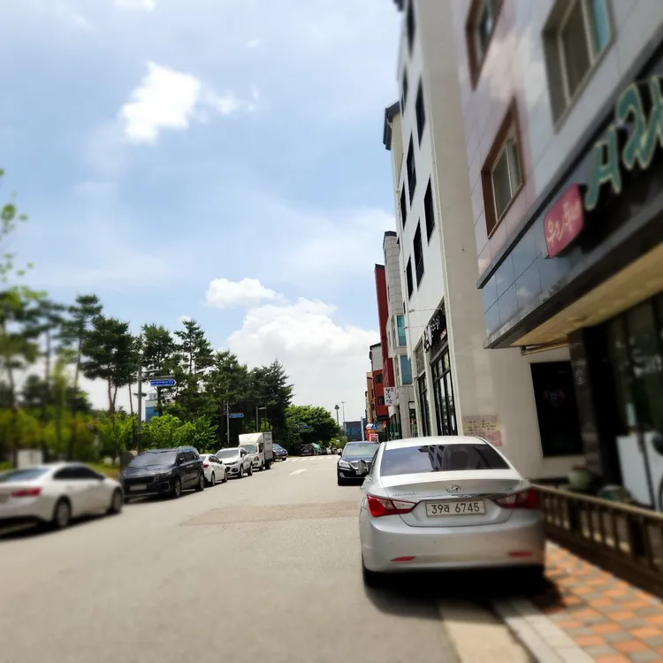 우리동네시래기 대표 사진