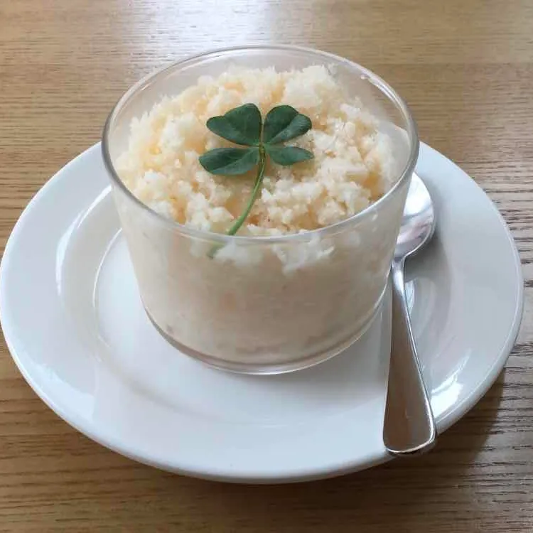 코야코히 대표 사진