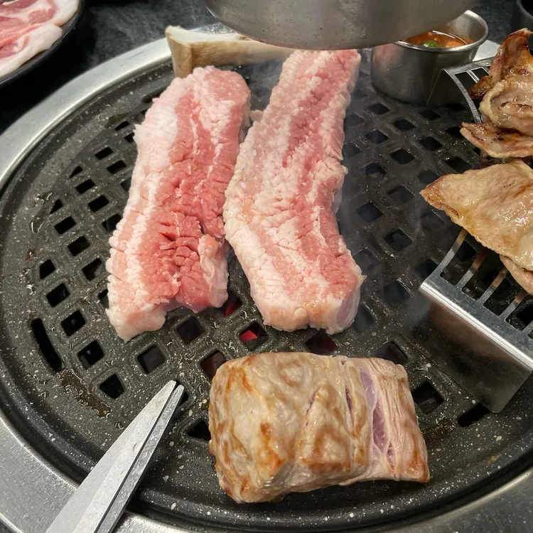 돈백꽃 대표 사진