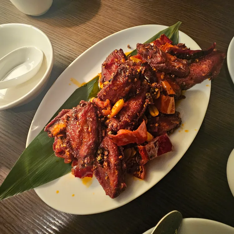 조광201 사진