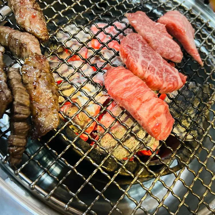 소나무 대표 사진
