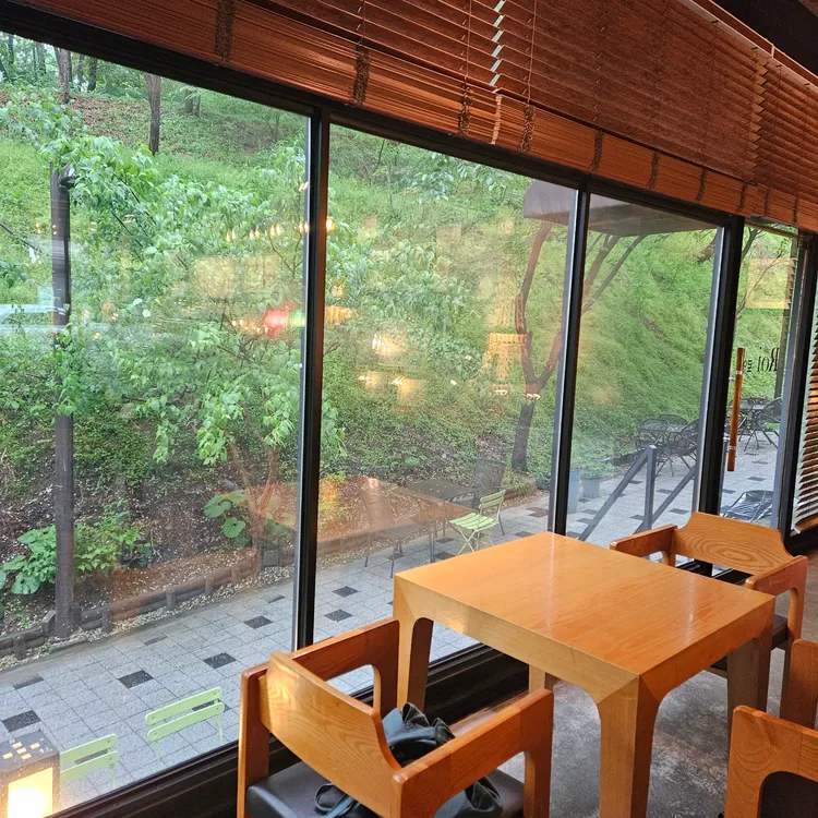 로이 (Roi) 대표 사진