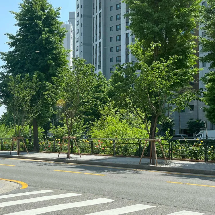 투미프롬미 대표 사진