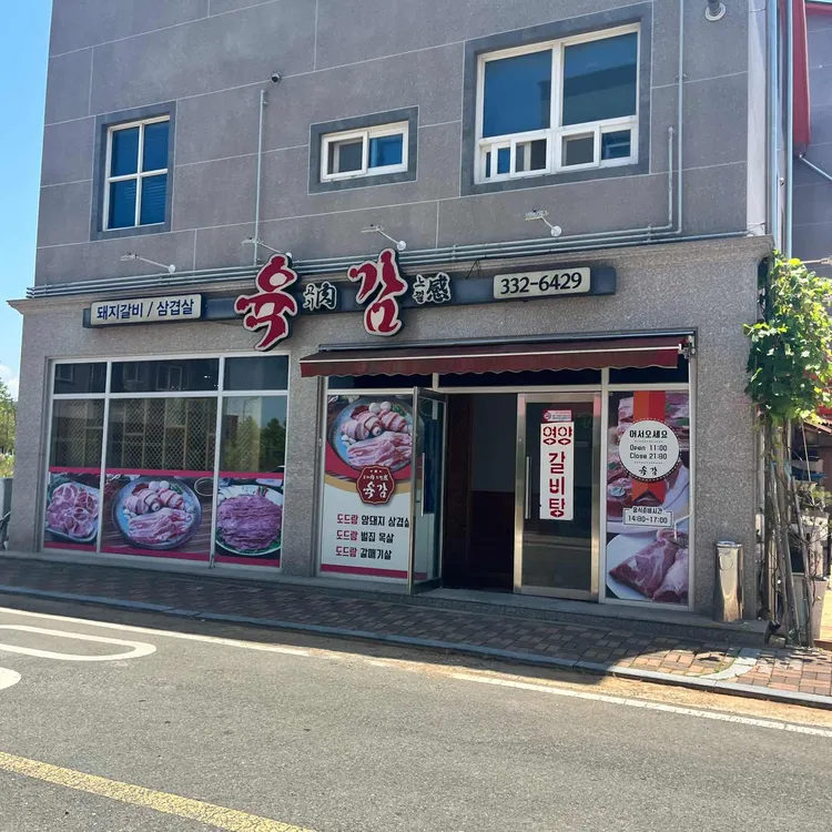 육감 대표 사진