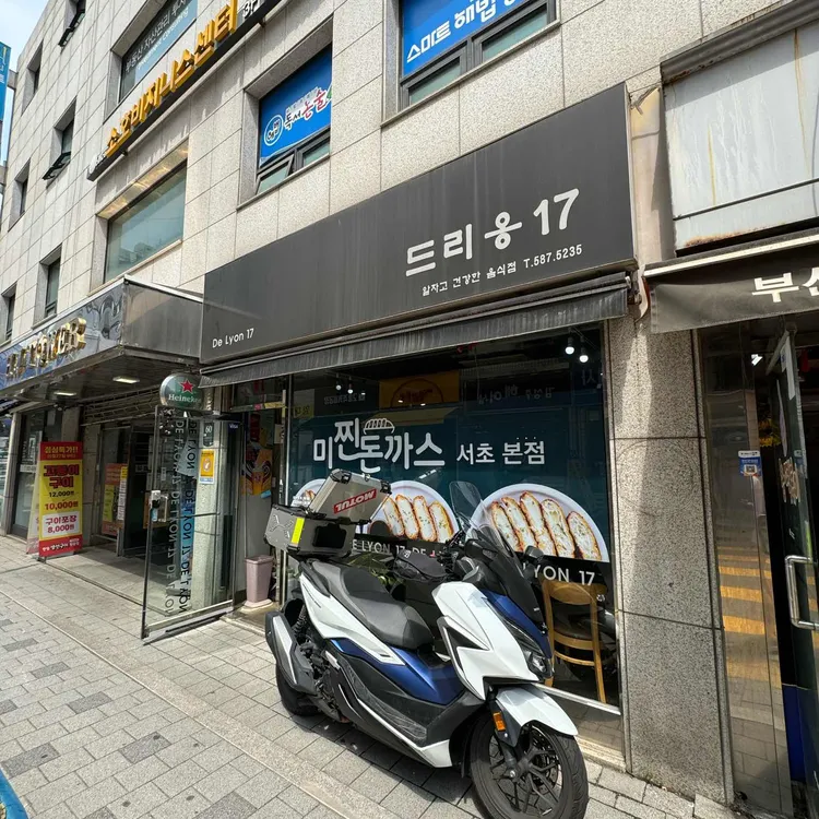 드리옹 17 대표 사진