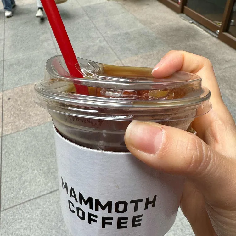 매머드익스프레스 대표 사진