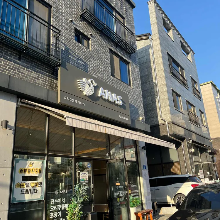 아나스 대표 사진