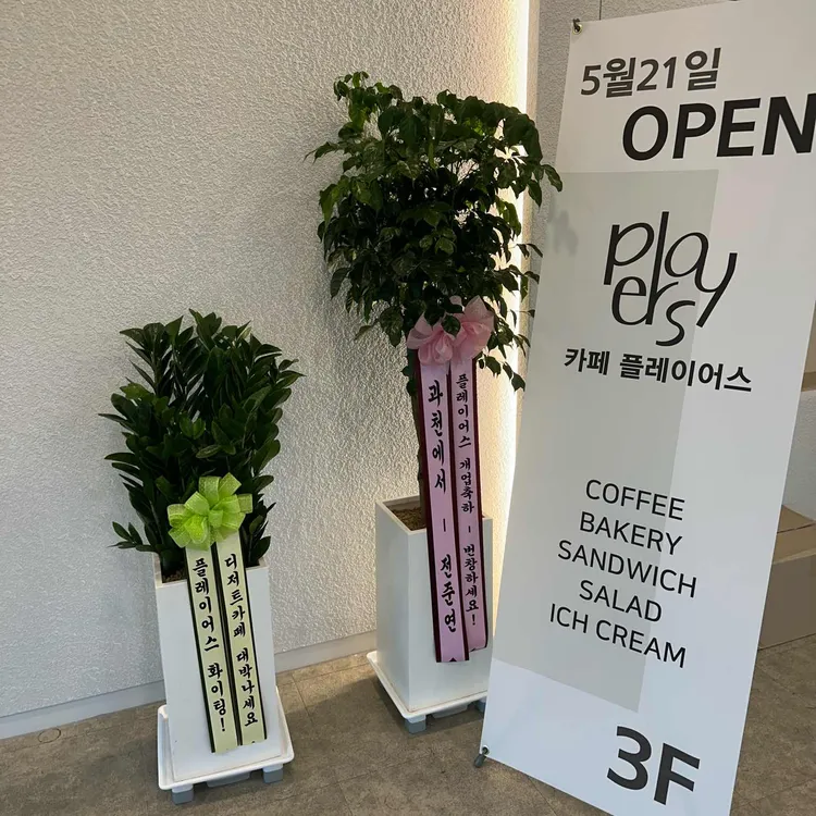 플레이어스 대표 사진