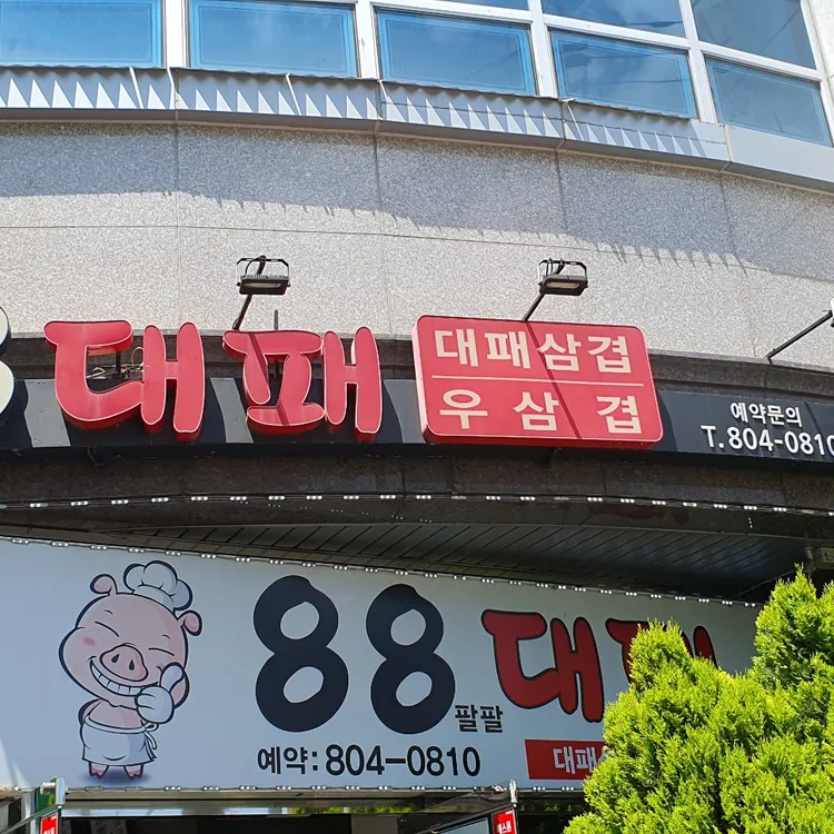88대패 대표 사진
