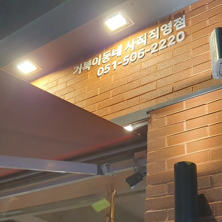 거북이동네 대표 사진