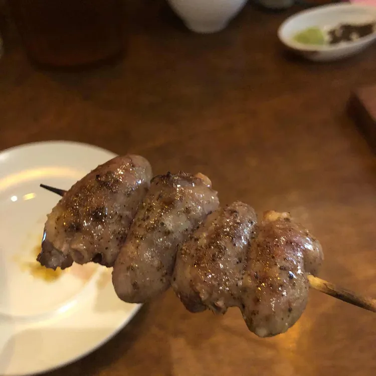신세츠 대표 사진