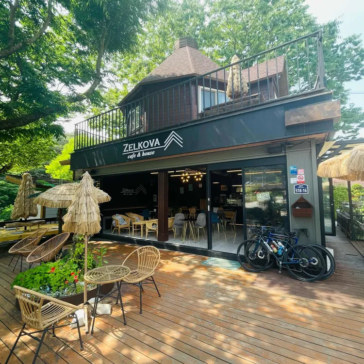 젤코바 대표 사진