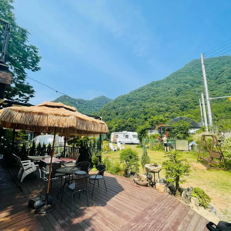 젤코바 대표 사진