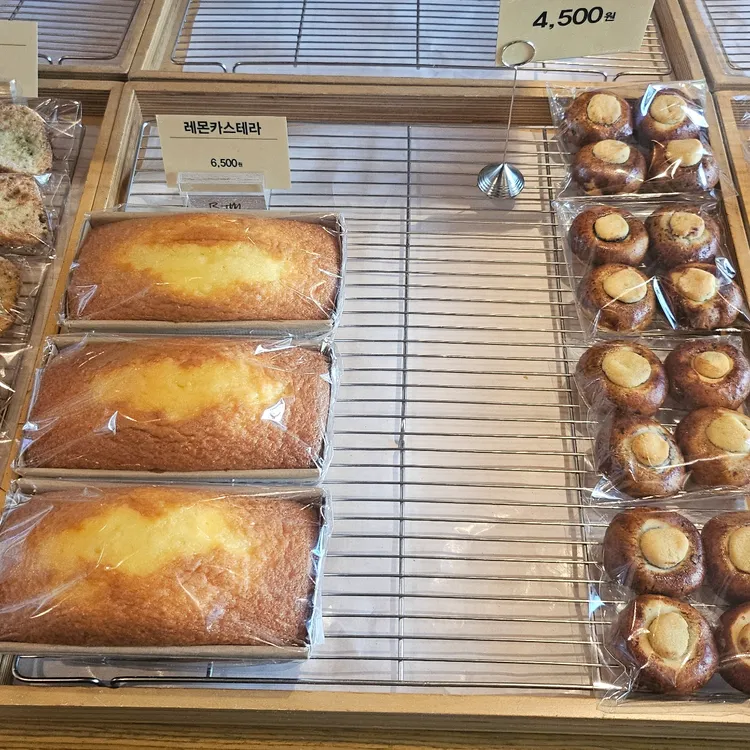 베떼엠 대표 사진