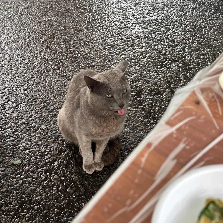 오성횟집 대표 사진