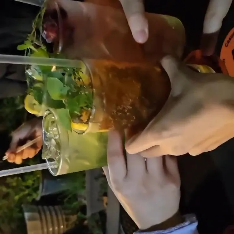 롤드펌킨 대표 사진