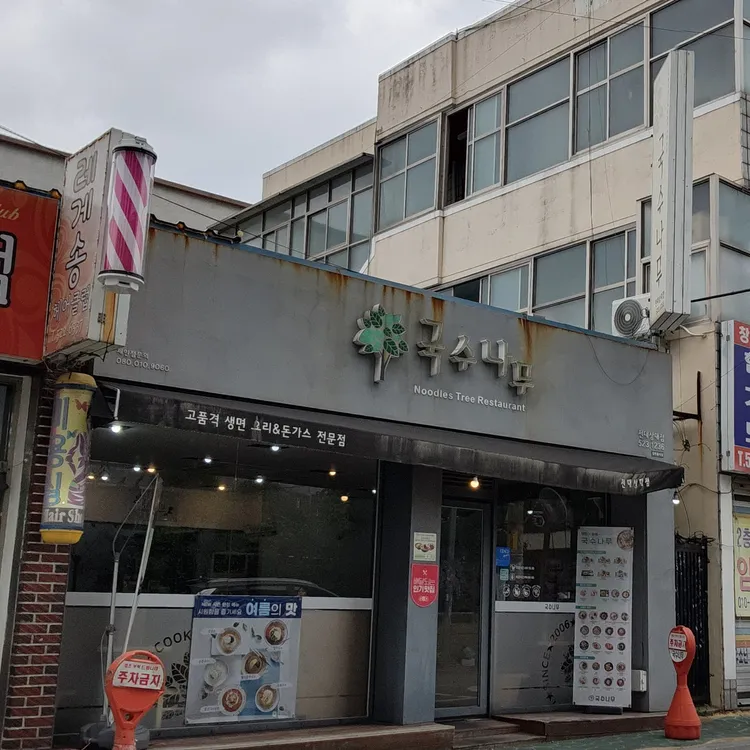 국수나무 대표 사진