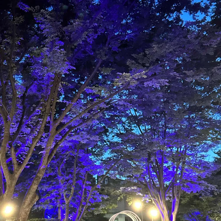 청계산장 대표 사진